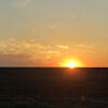 ross_tiner